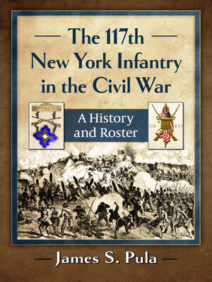 cover image of The 117th New York Infantry in the Civil War